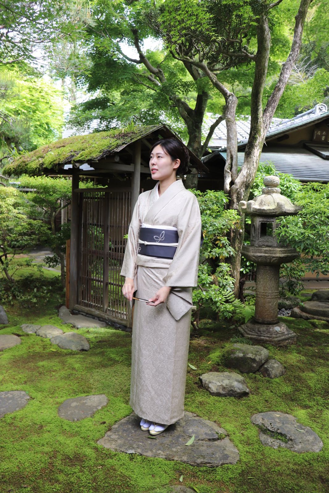 袷きもの のぞき梅 × 名古屋帯 むかい蝶
